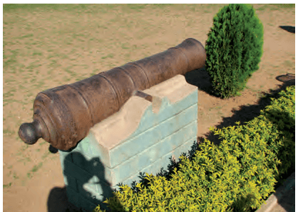 NCERT Solutions for Class 5 EVS Chapter 10 - Walls Tell Stories