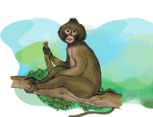 Class 4 EVS Worksheet Solutions Chapter 3 Nature Trail