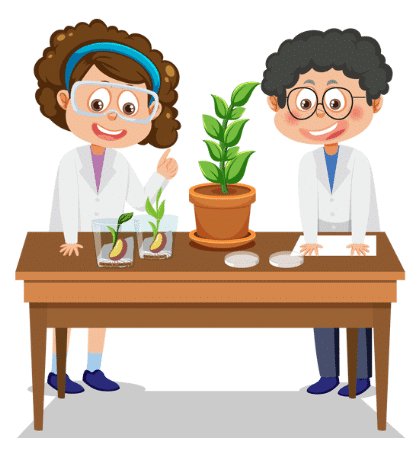 How to Participate in National Science Olympiad? | Science Olympiad for Class 1