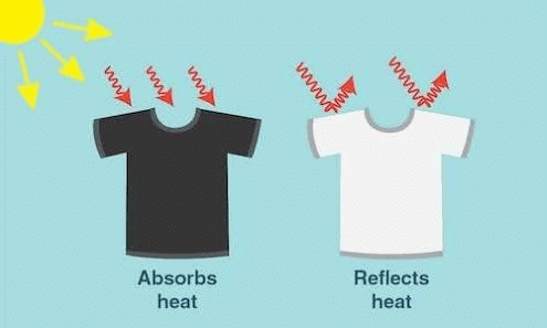 Dark colour clothes absorb Heat