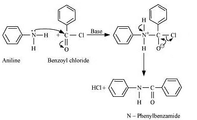 NCERT Solutions Class 12 Chemistry Chapter 9 - Amines