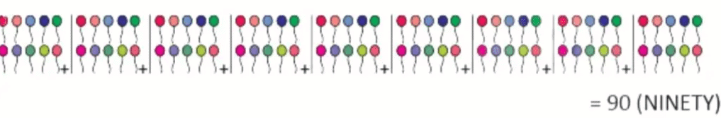Olympiad Notes: Numerals | Mathematics Olympiad for Class 1
