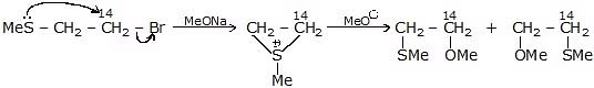 Nucleophilic Substitution, Elimination Reactions & Polyhalogen Compounds | Chemistry Class 12 - NEET