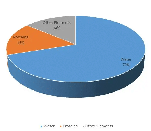 Introduction & Examples: Pie Charts | CSAT Preparation - UPSC