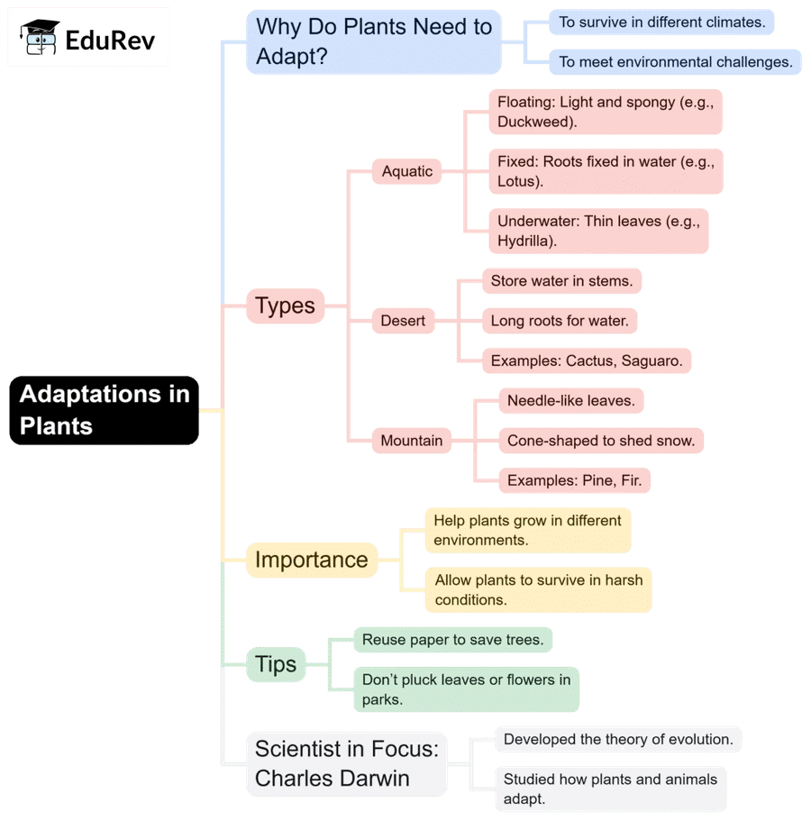 What do you get under EduRev Infinity Package for Class 4? | Parent`s Guide to EduRev Infinity for Class 4