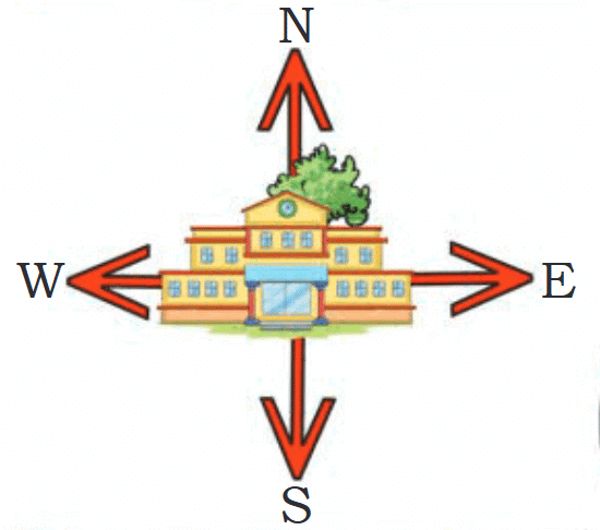 Exploring Our Neighbourhood Class 4 Notes EVS Chapter 2 Free PDF