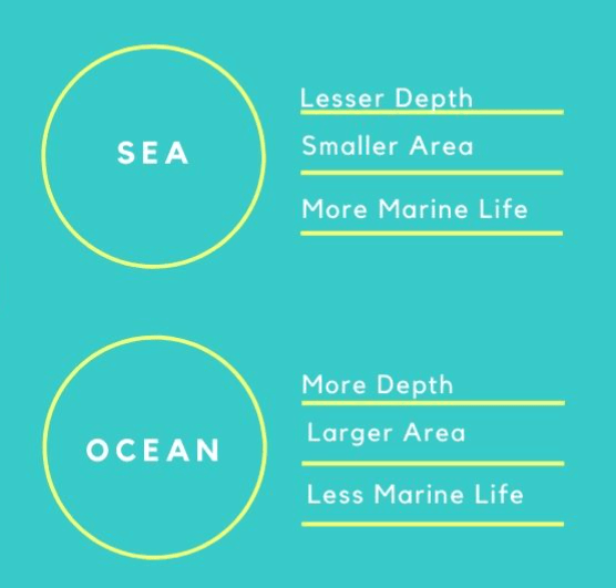 The Earth-Our World Class 5 Notes SST