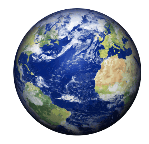 World Around Me | Worksheets with solutions for Class 2