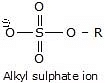 Nucleophilic Substitution, Elimination Reactions & Polyhalogen Compounds | Chemistry Class 12 - NEET
