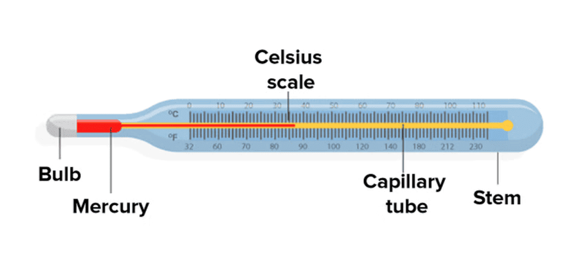 Clinical Thermometer