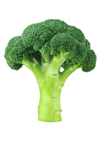 Broccoli
