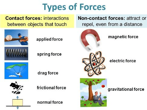 Force and Pressure Class 8 Notes Science Chapter 8