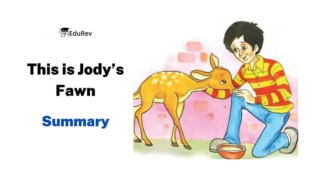 This is Jody`s Fawn Summary Class 8 English Honeydew Chapter 5