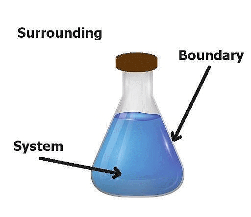 Thermodynamics: Common Terms, State Function, Reversible & Irreversible Processes | Chemistry Class 11 - NEET
