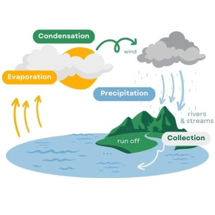 Environment Chapter Notes | Social Studies (SST) Class 7 (Old NCERT)