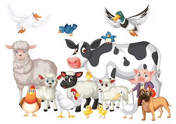 Animals- Food and Shelter Class 1 Notes EVS