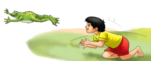 It is Fun Class 2 Worksheet English Mridang