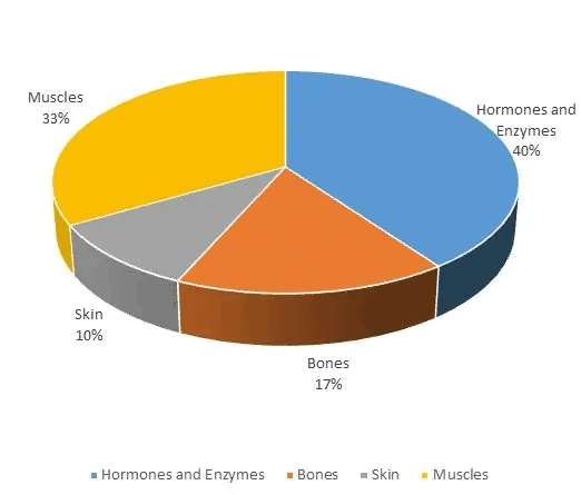 Introduction & Examples: Pie Charts | CSAT Preparation - UPSC