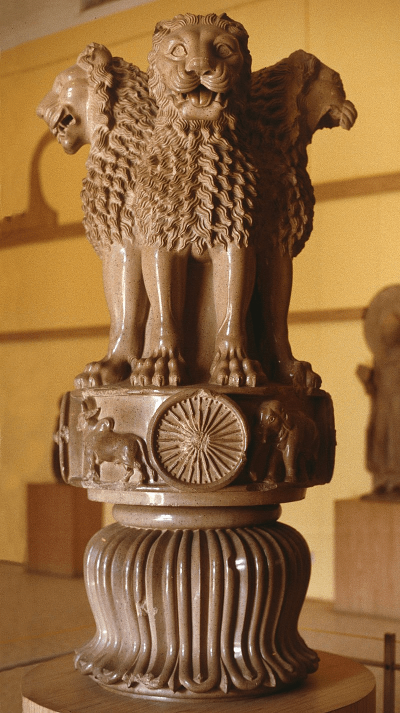 The Lion Capital