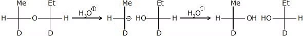Nucleophilic Substitution, Elimination Reactions & Polyhalogen Compounds | Chemistry Class 12 - NEET