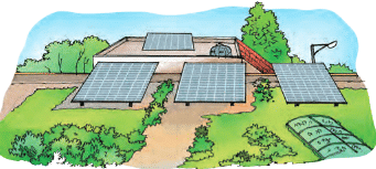 Growing up with Nature Class 4 Notes EVS Chapter 4 Free PDF