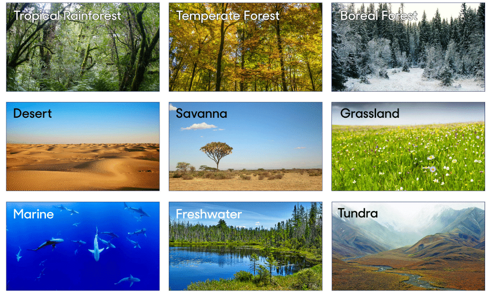 Types of Natural Vegetation