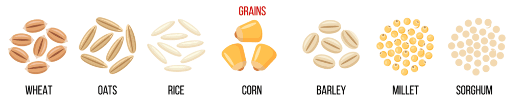Grains