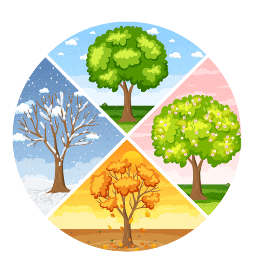 The Four Seasons - 1 Class 1 Worksheet English Mridang