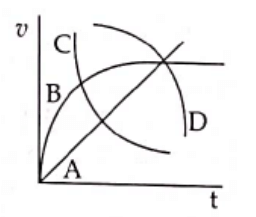 NEET Previous Year Questions (2014-2025): Mechanical Properties of Fluids | Physics Class 11