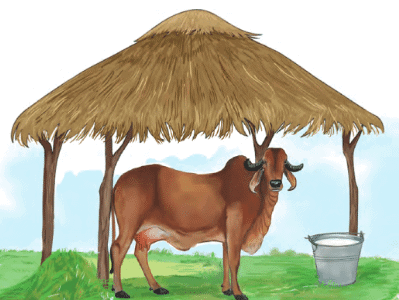A Farm - 2 Class 1 Worksheet English Mridang