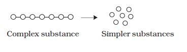 Nutrition in Animals Class 7 Notes Science Chapter 2