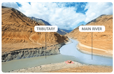The Northern Plains Class 4 Notes SST