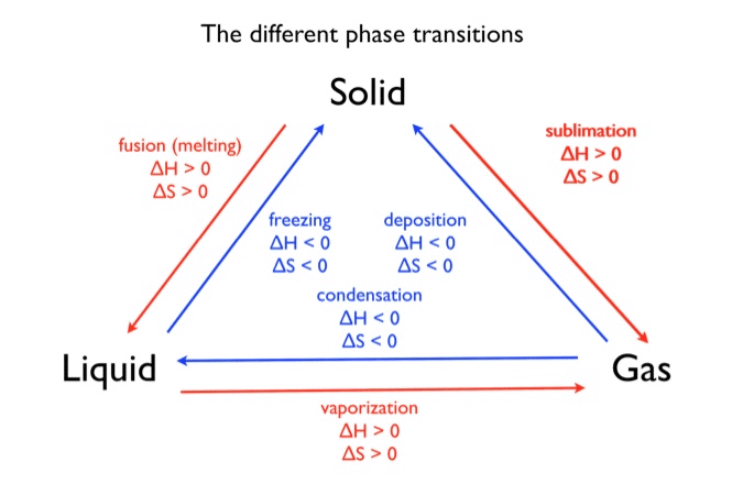 Equilibrium in Physical Processes | Chemistry Class 11 - NEET