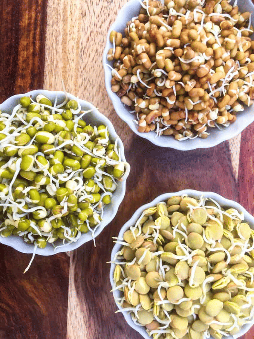 Sprouts