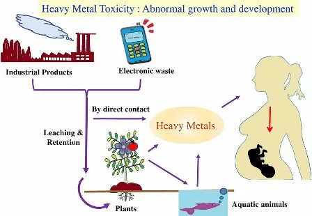 Introduction to Bioinorganic: Essentials & Trace Elements of life | Inorganic Chemistry