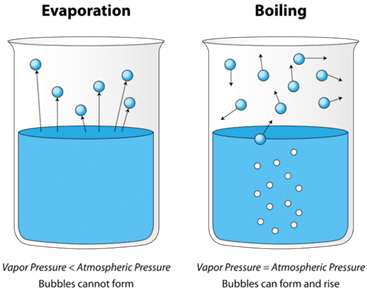 Vapour Pressure & Raoult`s law | Physical Chemistry
