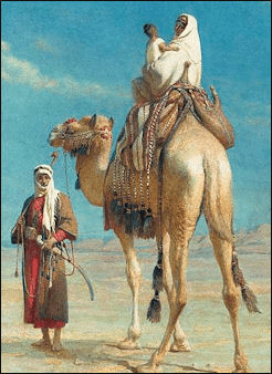 Bedouin