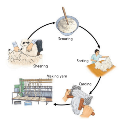 Fibre to Fabric Class 7 Notes Science