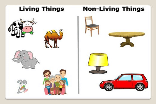 Living and Non Living Things