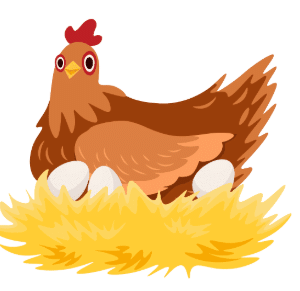 Birds are Animals too | EVS for Class 1