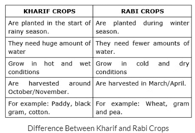 Crop Production and Management Class 8 Notes Science Chapter 1