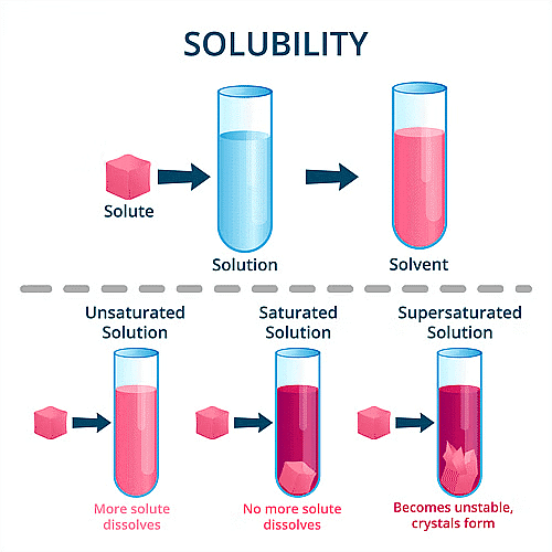 Solutions: Mixtures & Types of Solutions | Chemistry Class 12 - NEET