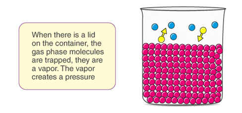 Vapour Pressure & Raoult`s law | Physical Chemistry