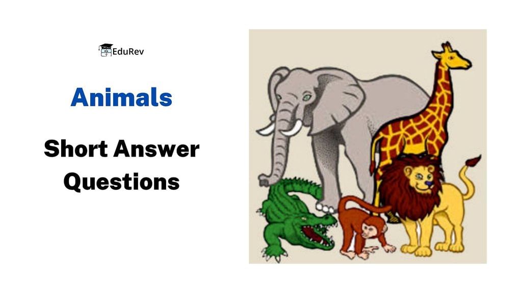 Class 10 English Chapter 1 Question Answers - First Flight