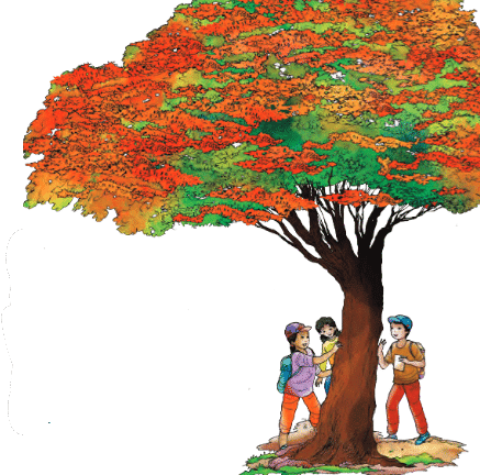 Growing up with Nature Class 4 Notes EVS Chapter 4 Free PDF