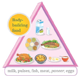 Food We Eat Class 2 Notes EVS
