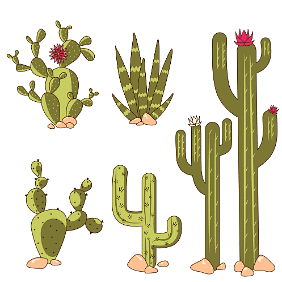 Desert Plants