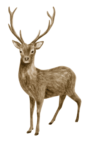 Class 4 English Worksheet Solutions Chapter 5 The Old Stag