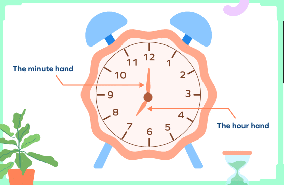 Class 2 Time - CBSE Worksheets- 1