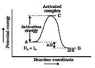 Arrhenius Equation, Collision Theory & Pseudo First Order Reaction | Chemistry Class 12 - NEET